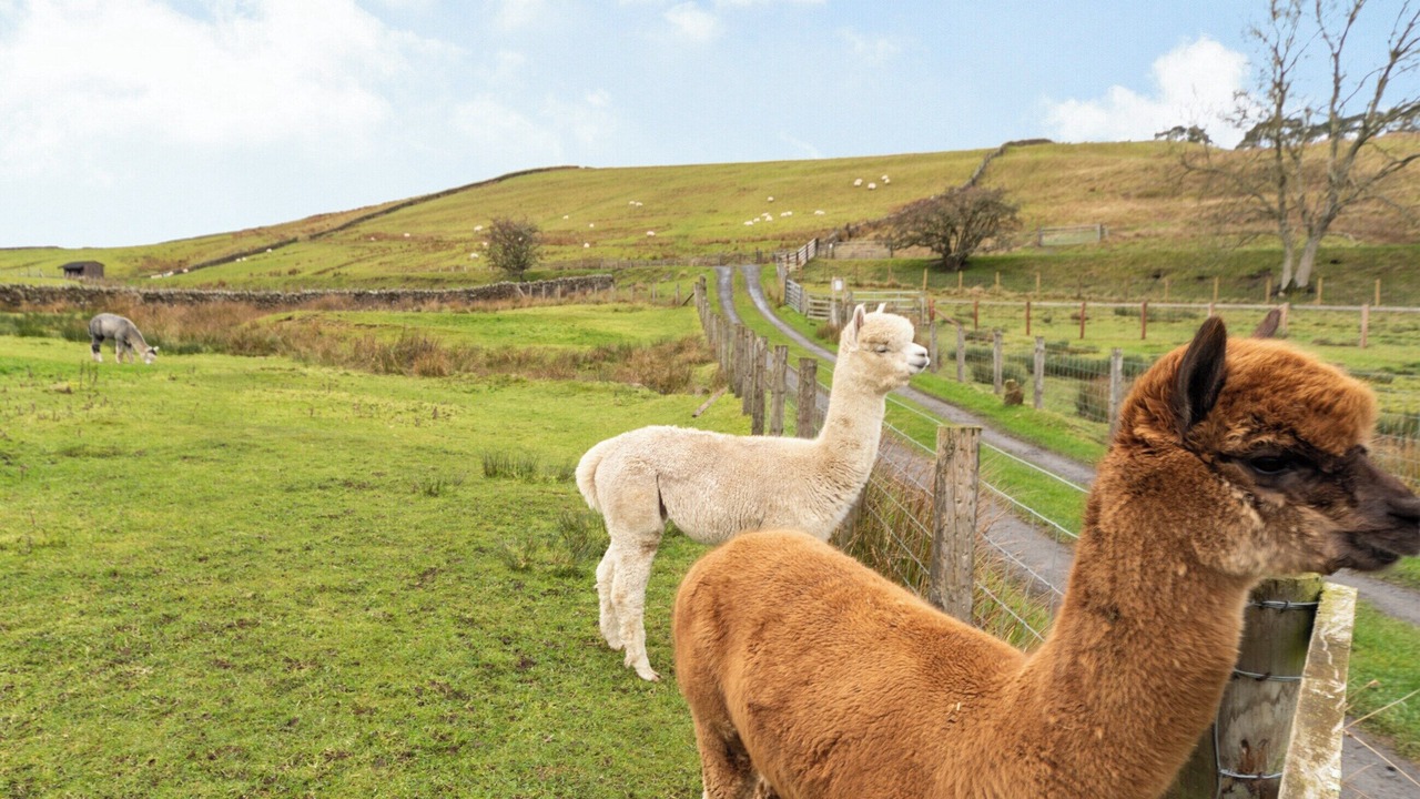 Photo of Outdoor in Hexham
