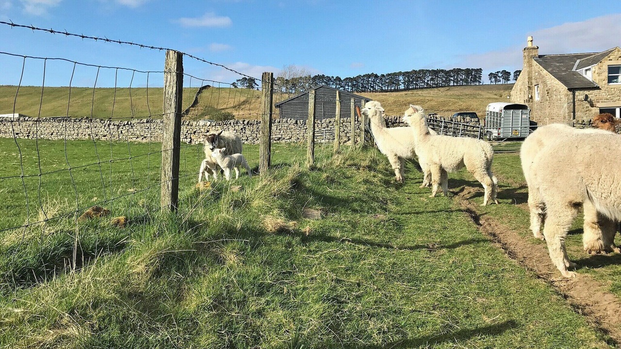 Photo of Others in Hexham