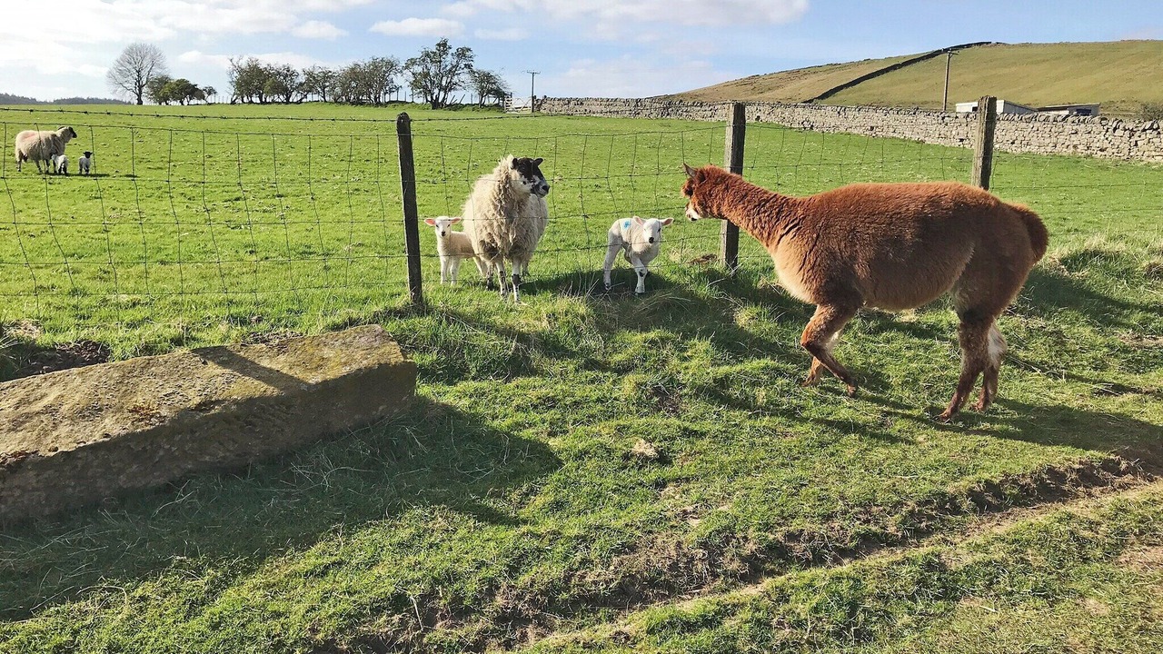 Photo of Others in Hexham