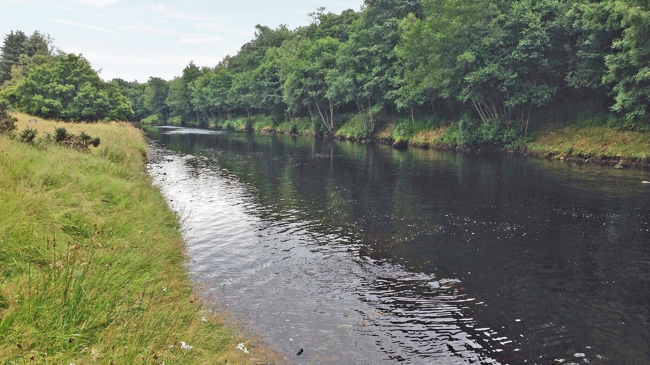 Photo of Others in Hexham