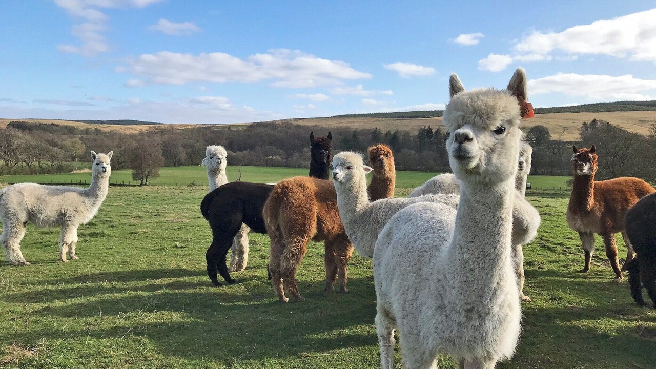 Photo of Others in Hexham