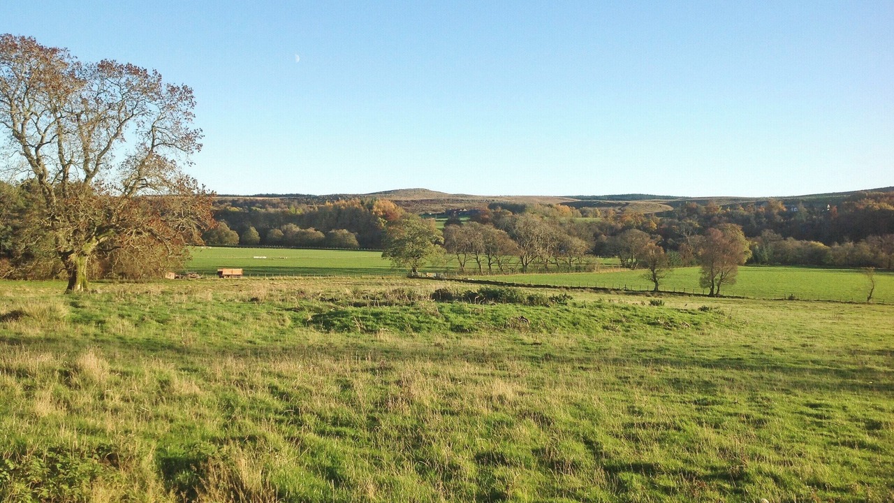 Photo of Others in Hexham