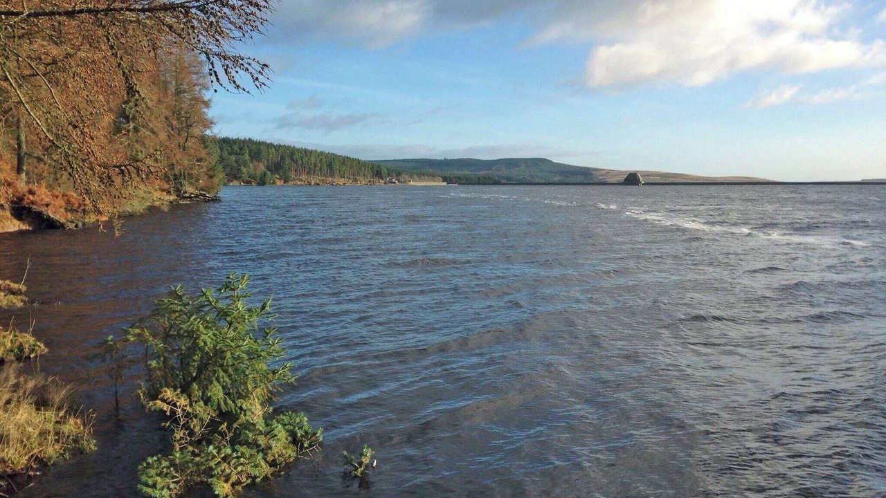 Photo of Others in Hexham