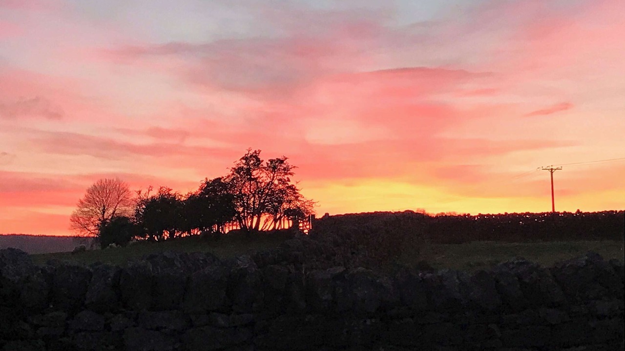 Photo of Others in Hexham