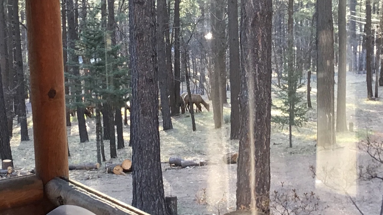 Photo of Others in Alpine