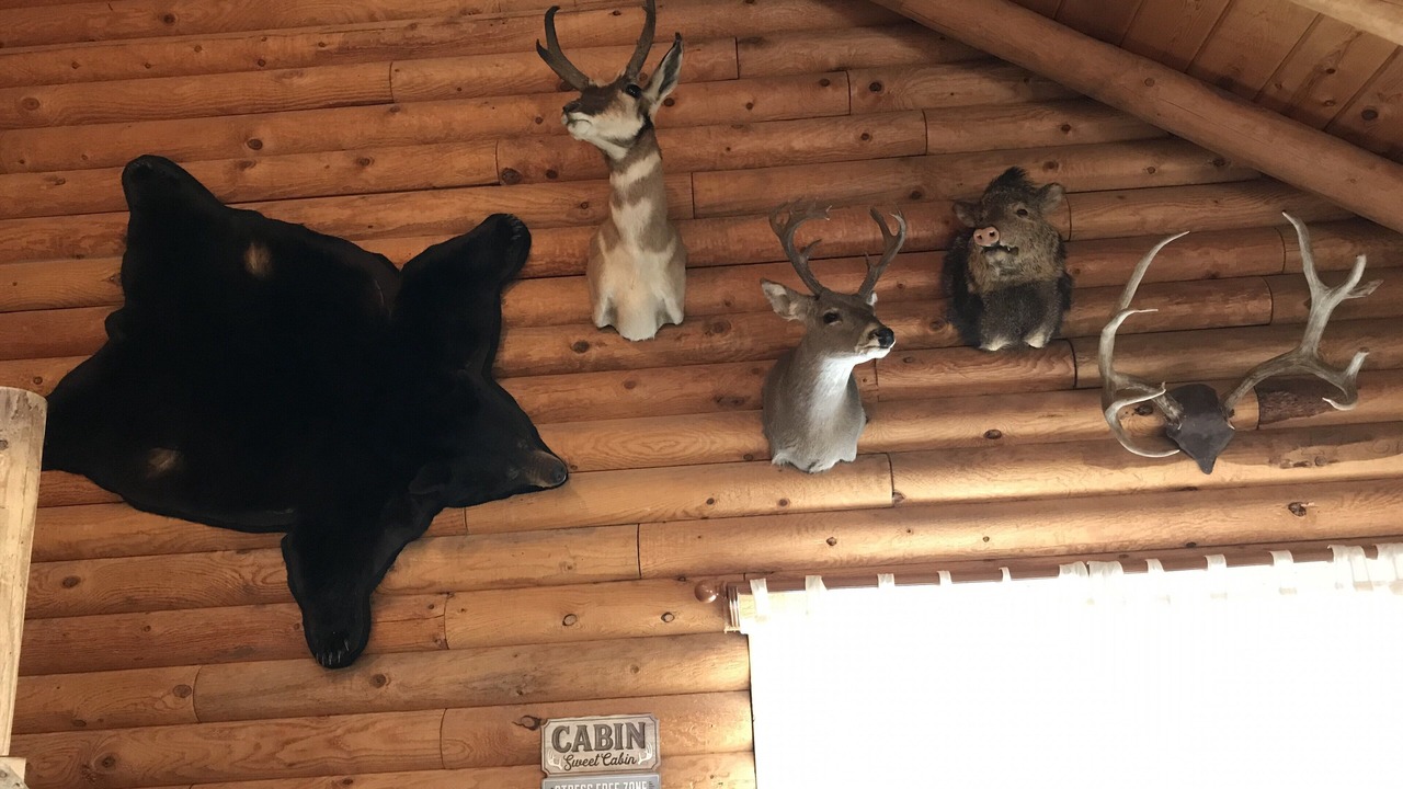 Photo of Others in Alpine