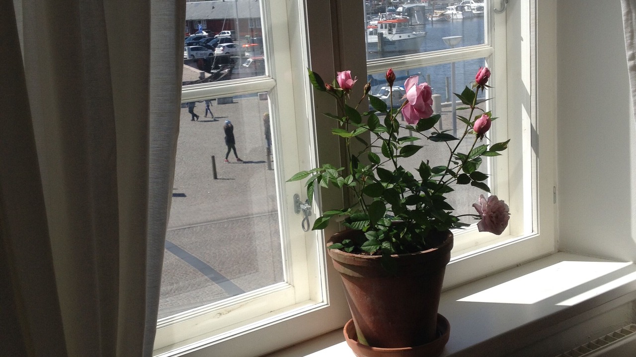 Photo of Others in Faaborg