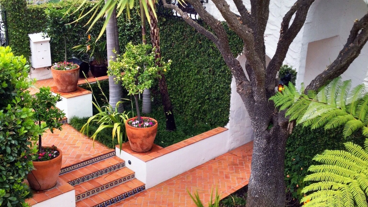 Photo of Outdoor in Dolores Heights