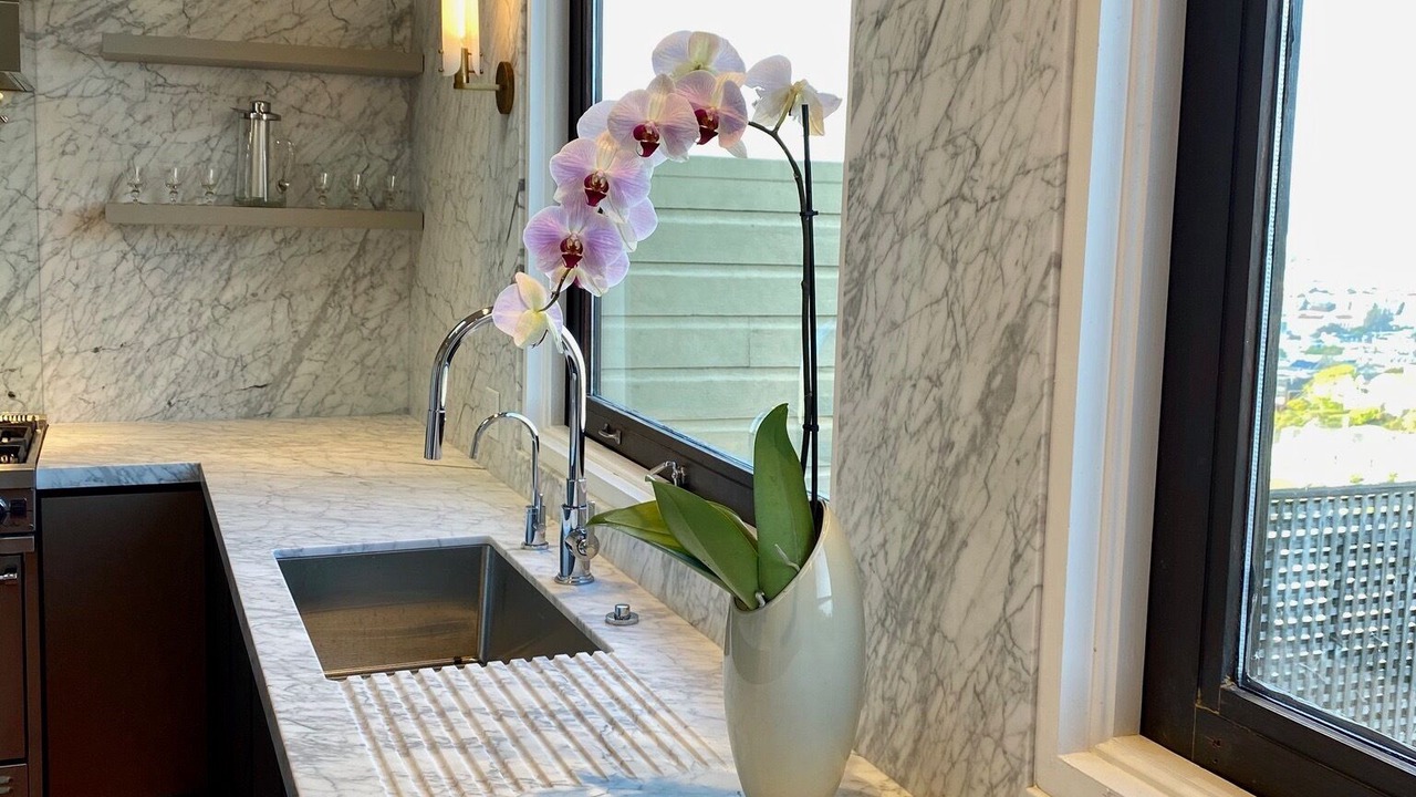 Photo of Others in Dolores Heights