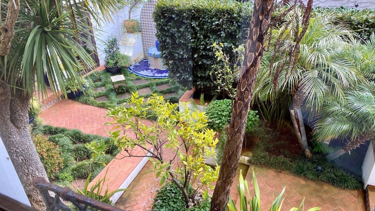 Photo of Outdoor in Dolores Heights