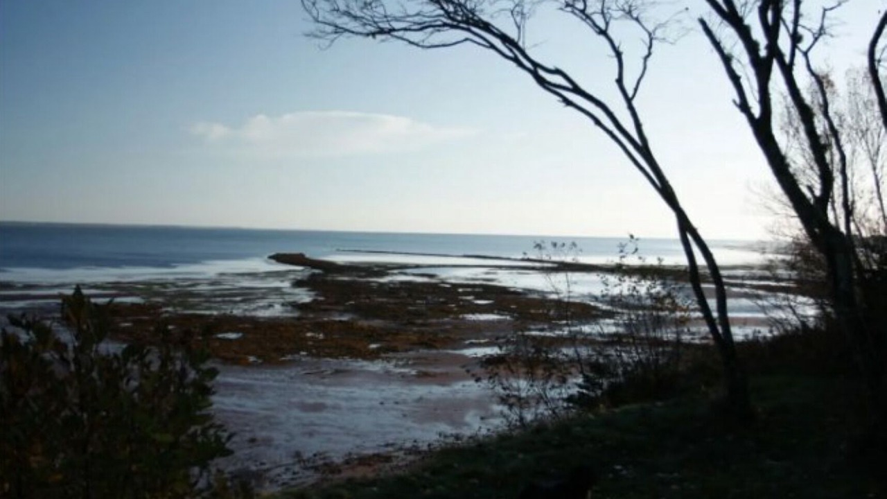 Photo of Others in Tidnish