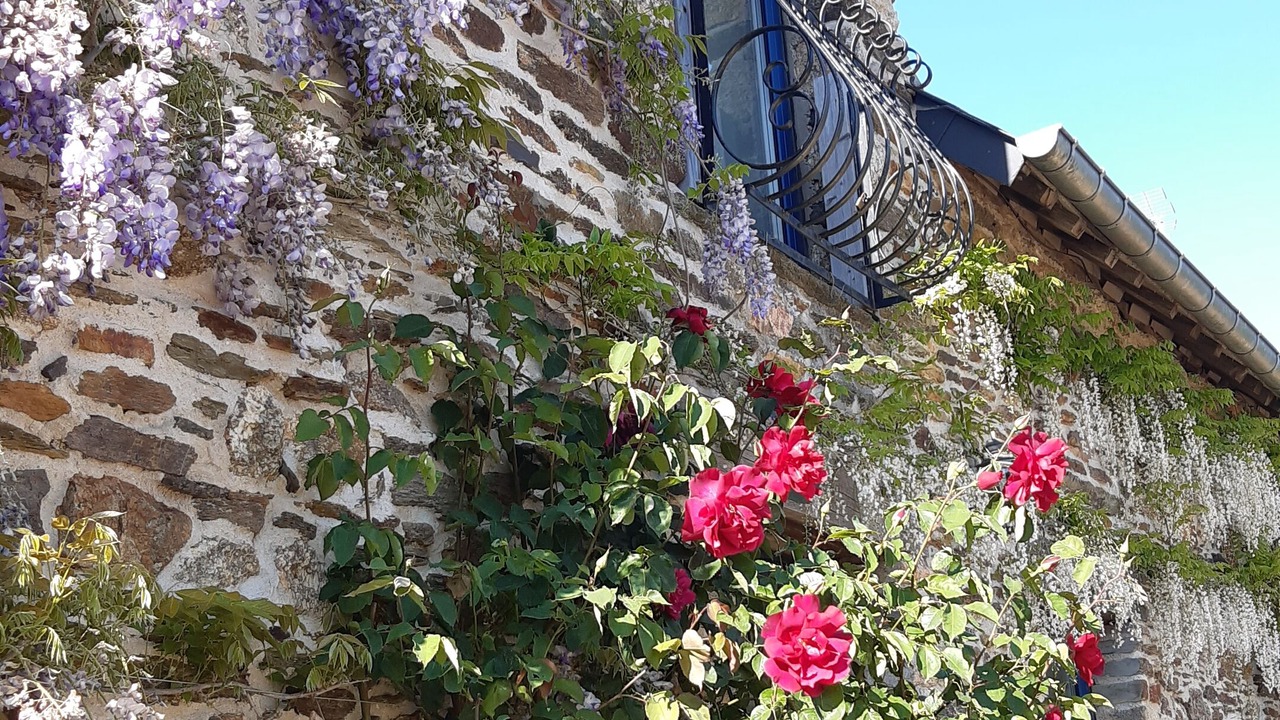 Photo of Patio Balcony in Ruffiac