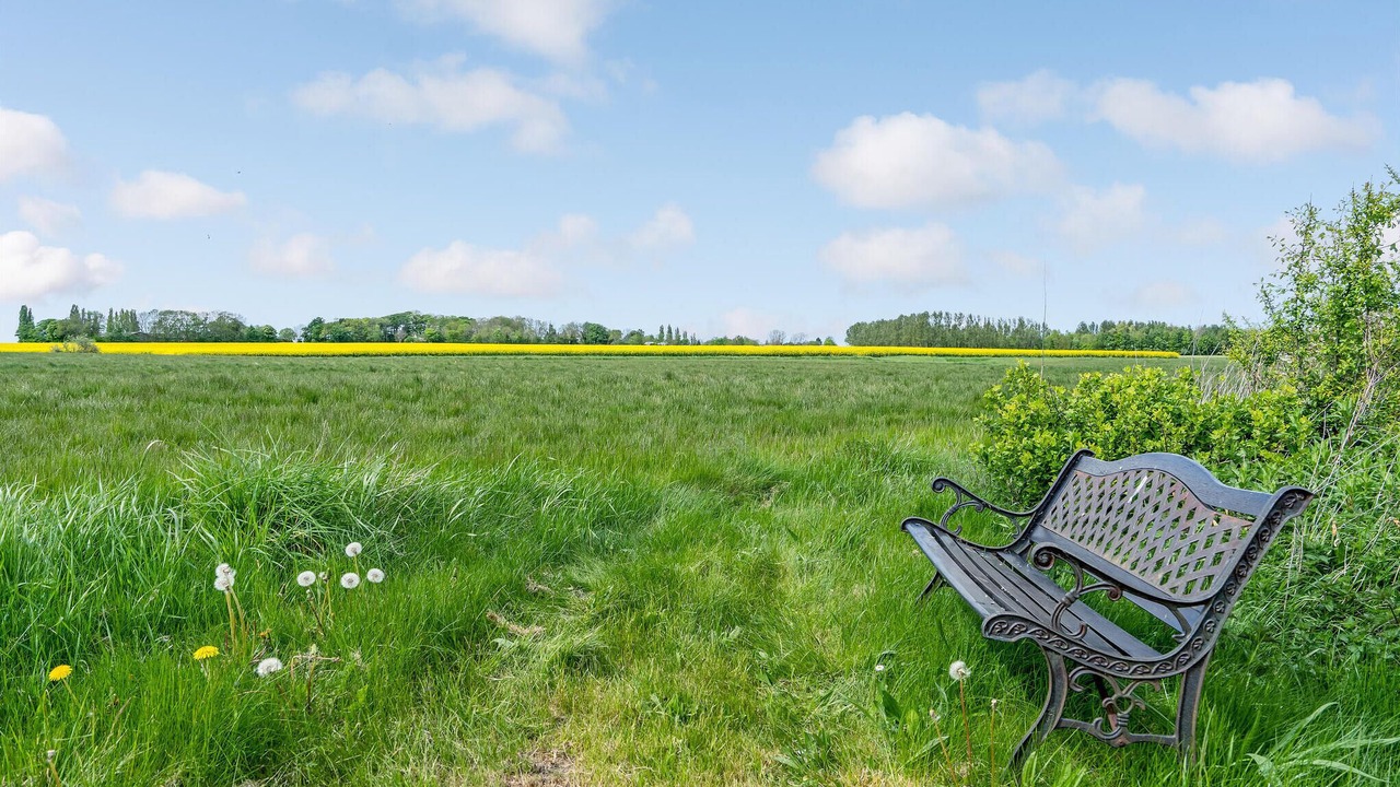 Photo of Others in Sollested