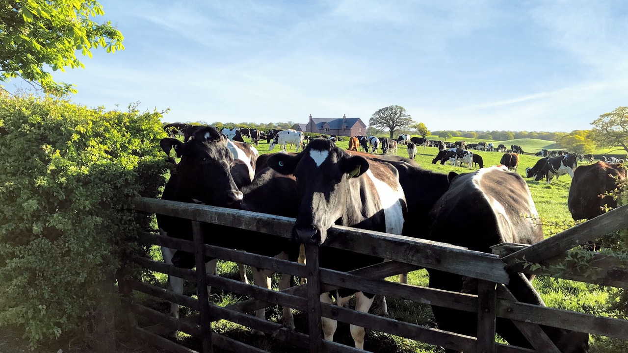 Photo of Others in Winterley