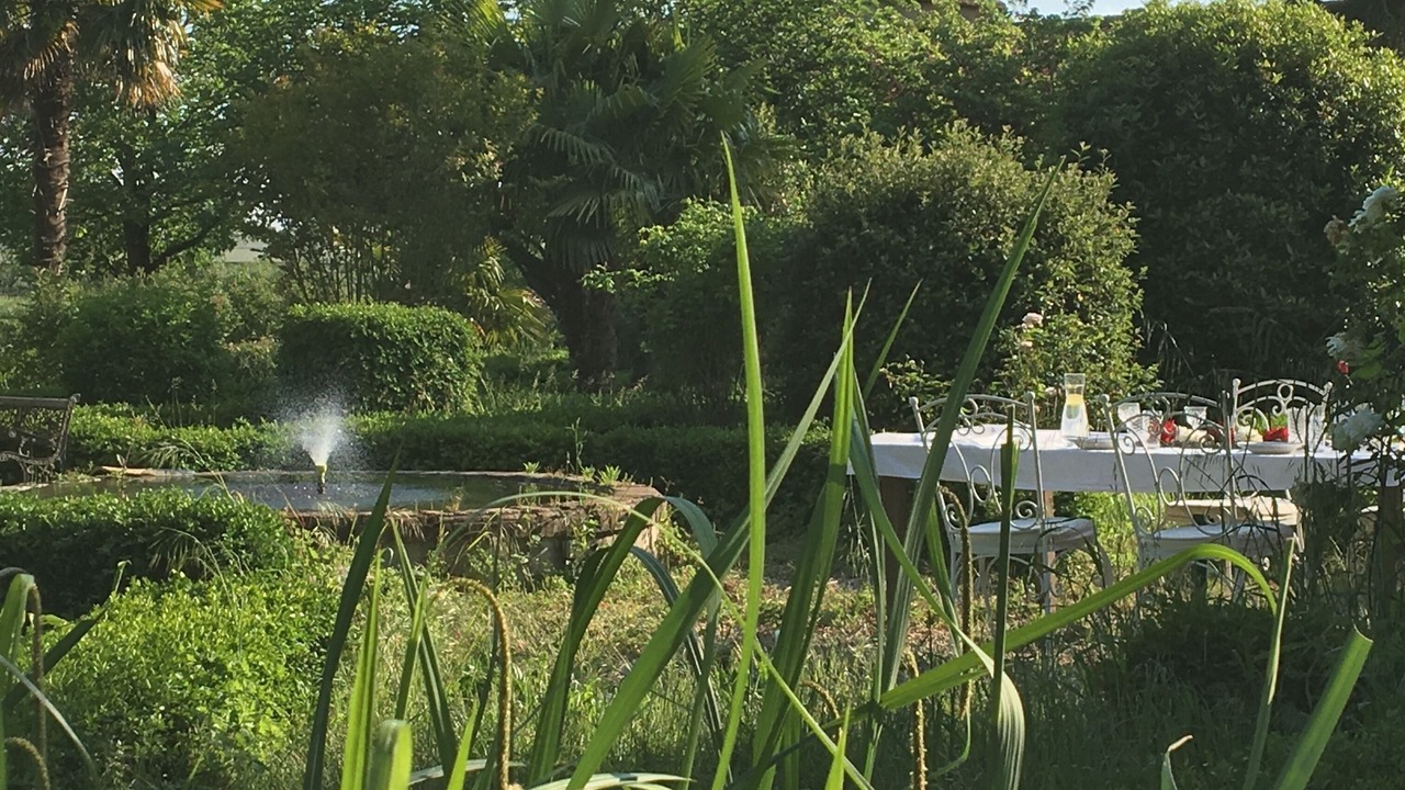 Photo of Outdoor in Lisle-sur-Tarn