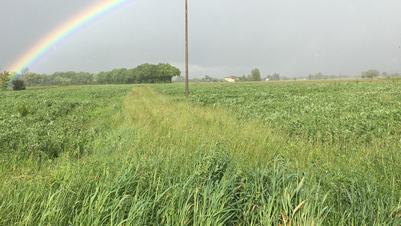 Photo of Outdoor in Lisle-sur-Tarn