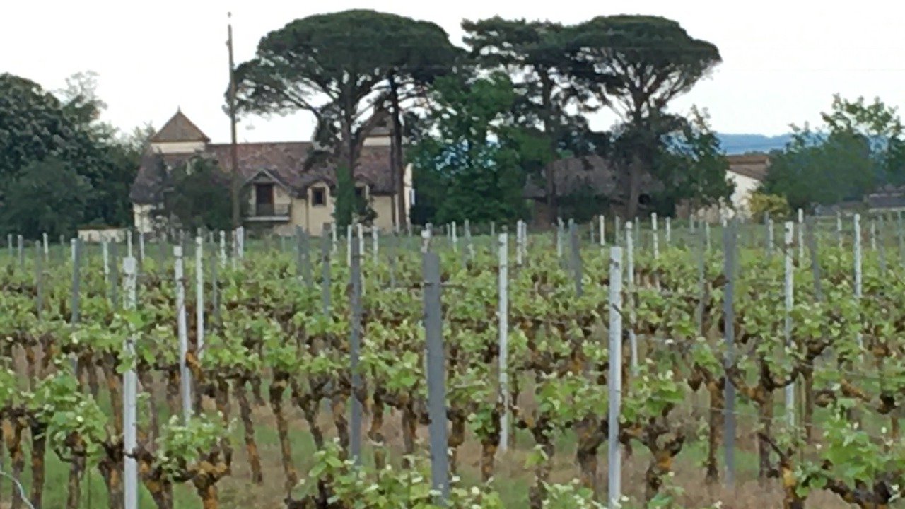 Photo of Outdoor in Lisle-sur-Tarn