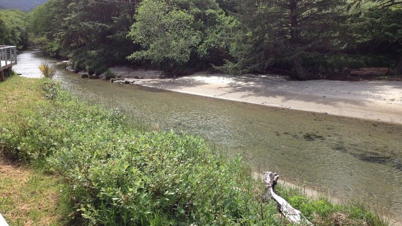 Photo of Others in Neskowin