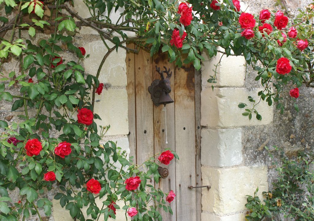 Photo of Outdoor in Blaison-Gohier