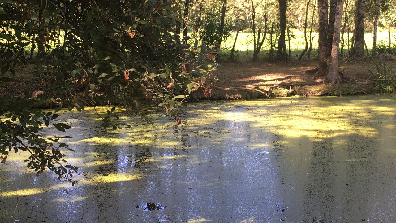 Photo of Others in Saint-Hilaire-la-Palud