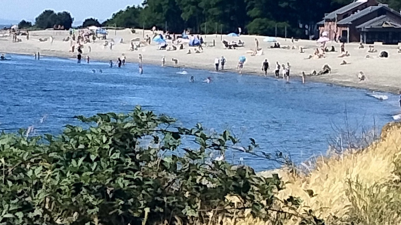 Photo of Others in Sunset Hill