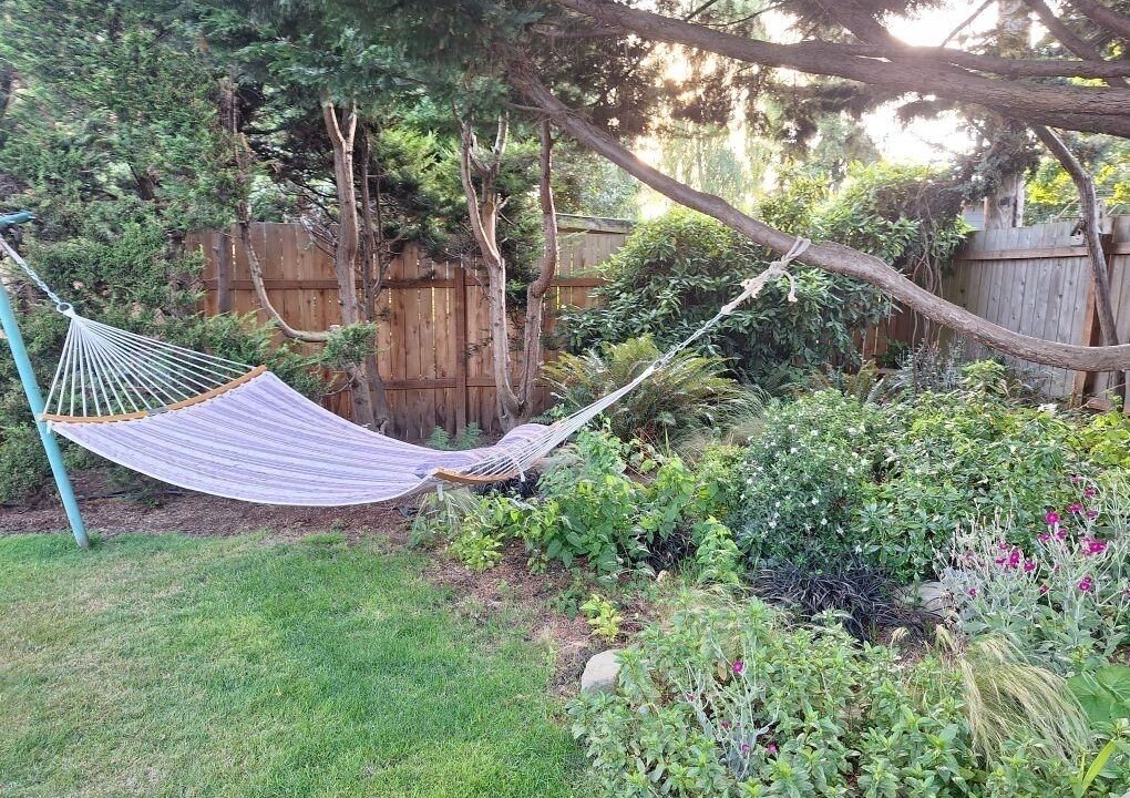 Photo of Outdoor in Sunset Hill