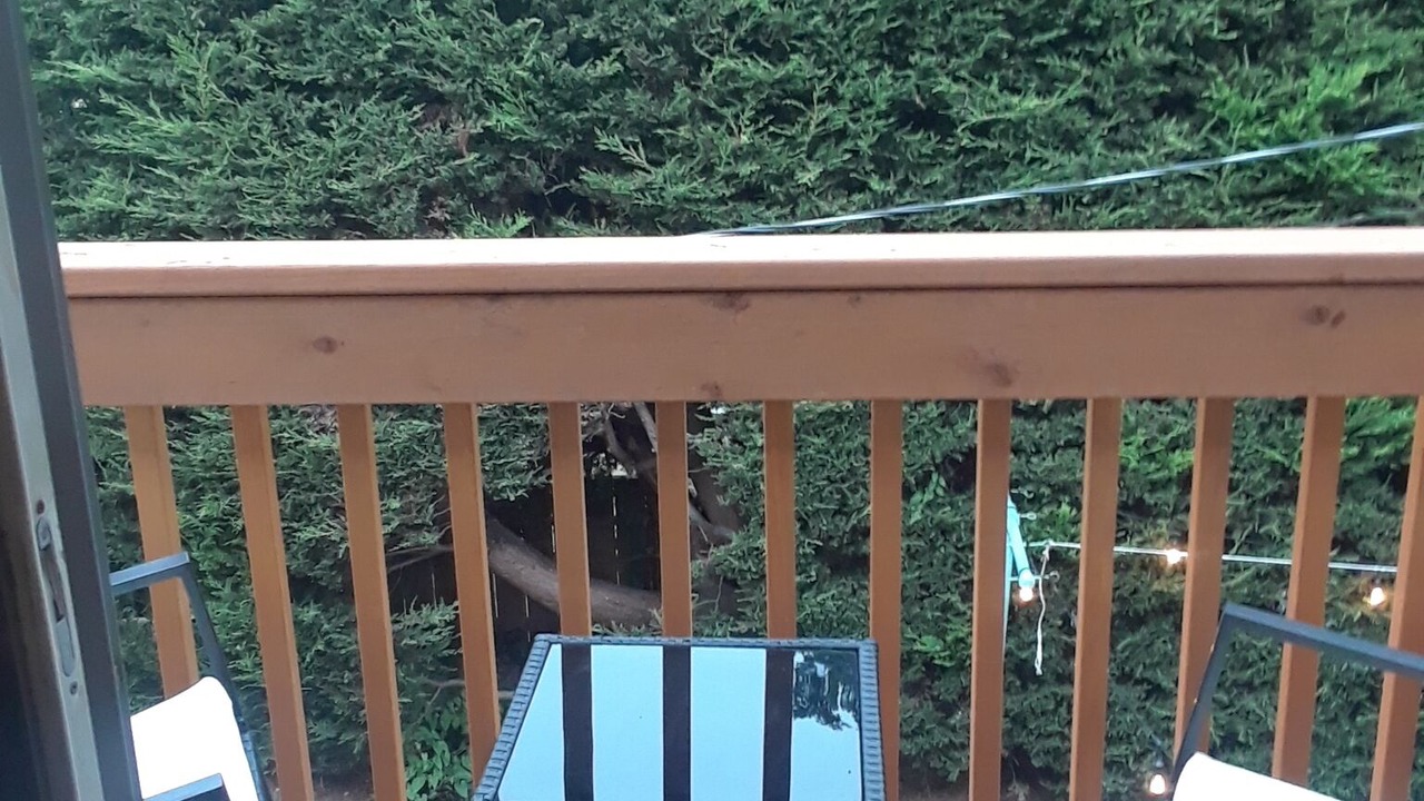 Photo of Others in Sunset Hill