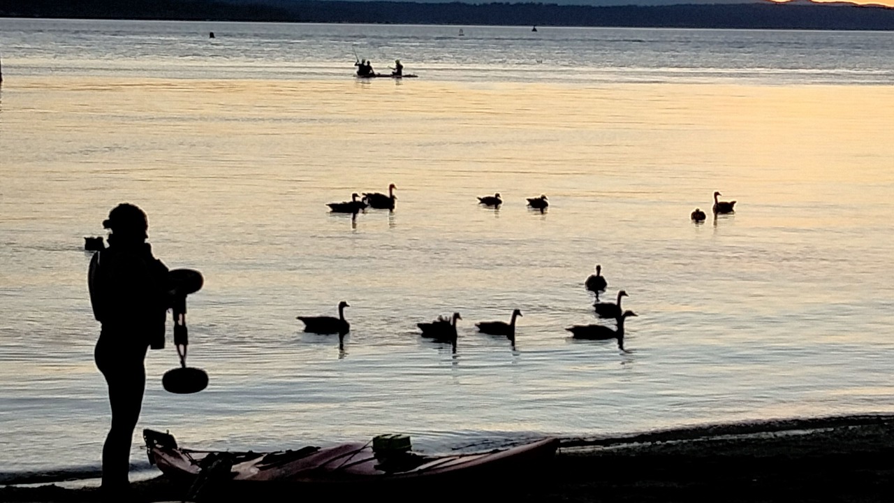 Photo of Others in Sunset Hill