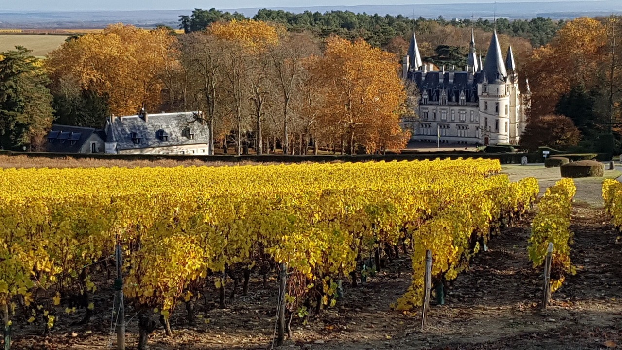 Photo of Outdoor in Pouilly-sur-Loire