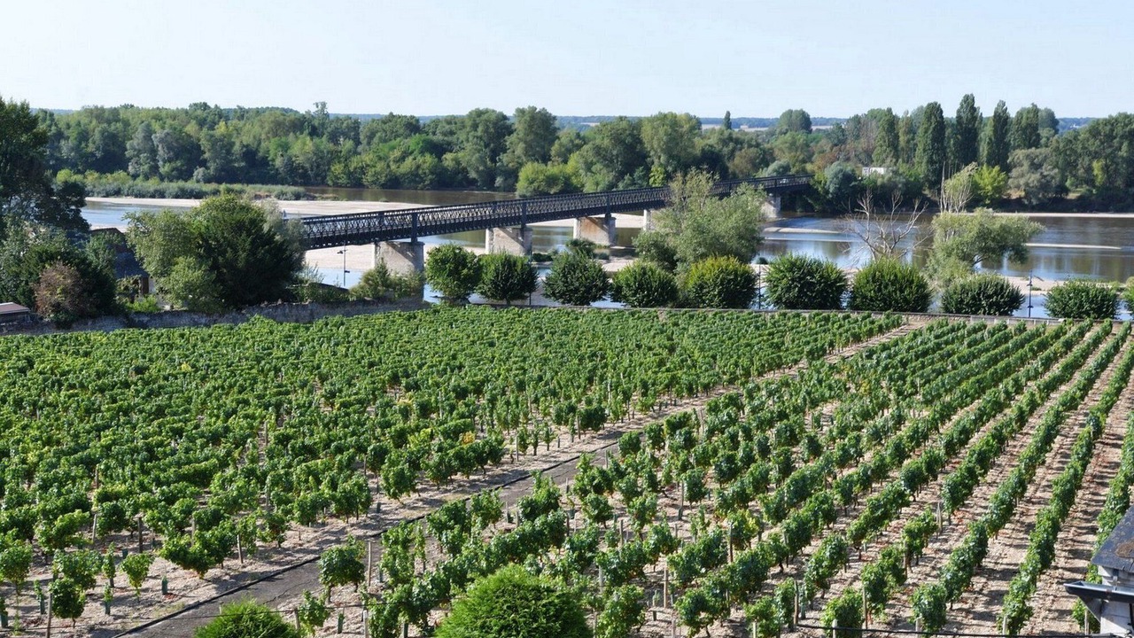 Photo of Outdoor in Pouilly-sur-Loire