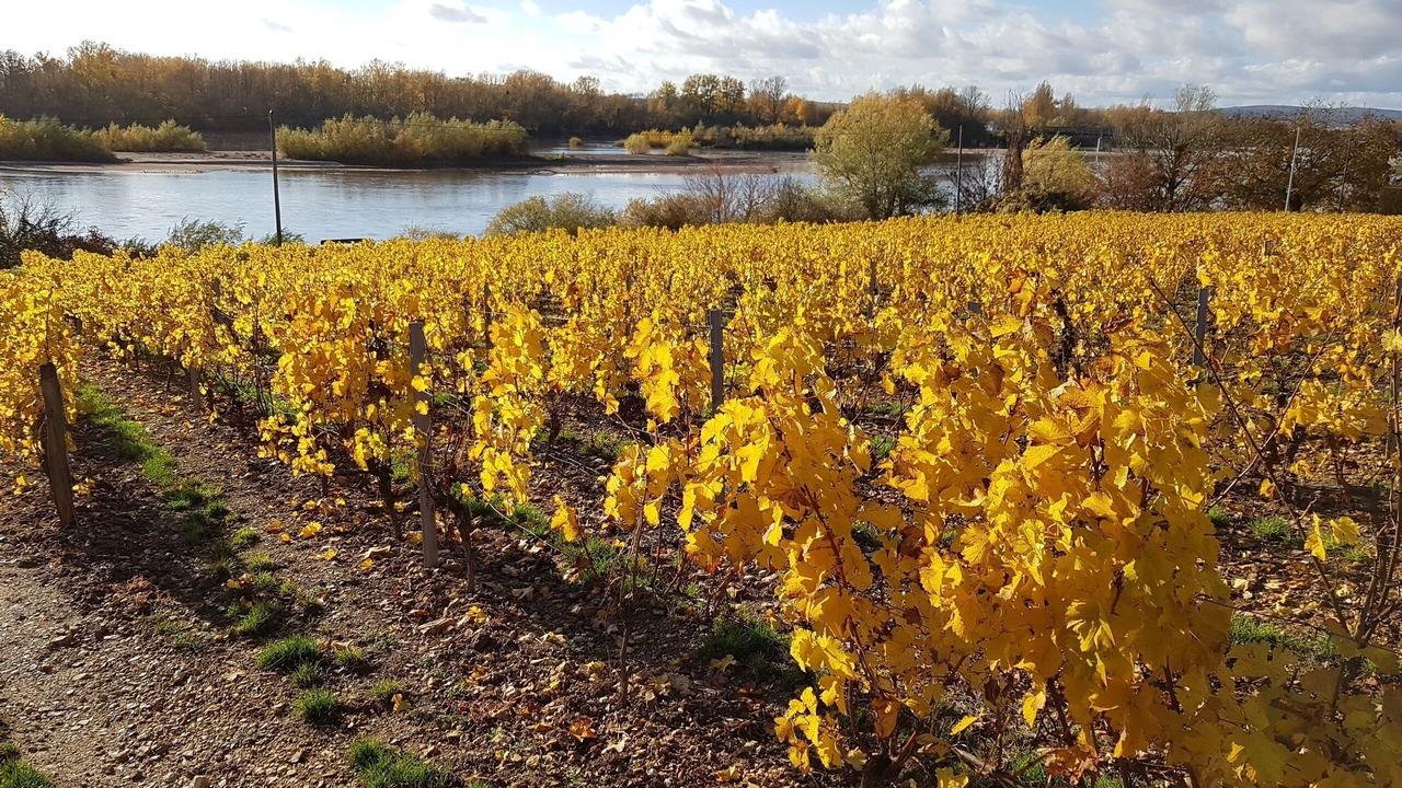 Photo of Outdoor in Pouilly-sur-Loire