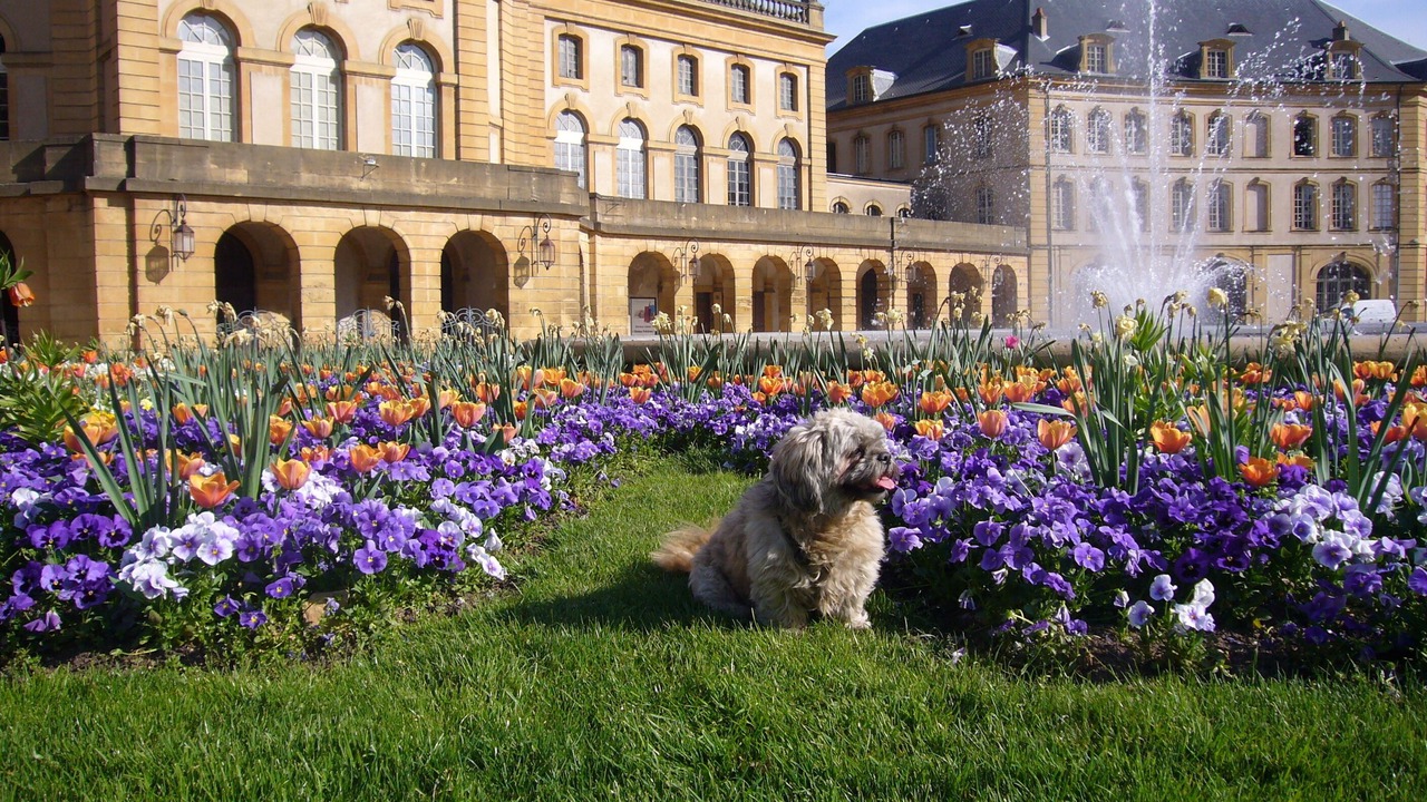 Photo of Outdoor in Metz-Centre – Ancienne Ville