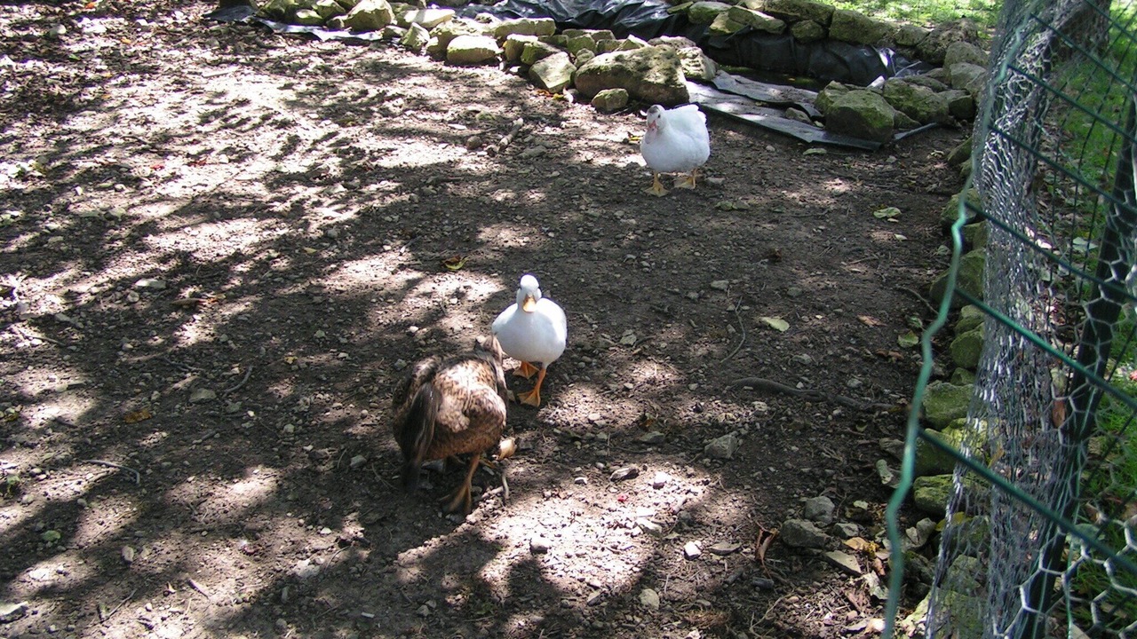 Photo of Outdoor in Villeneuve-la-Comtesse
