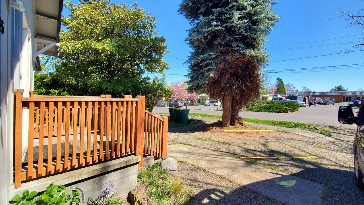 Photo of Outdoor in Aloha