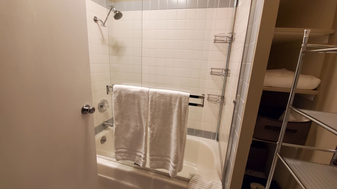 Photo of Bathroom in Aloha