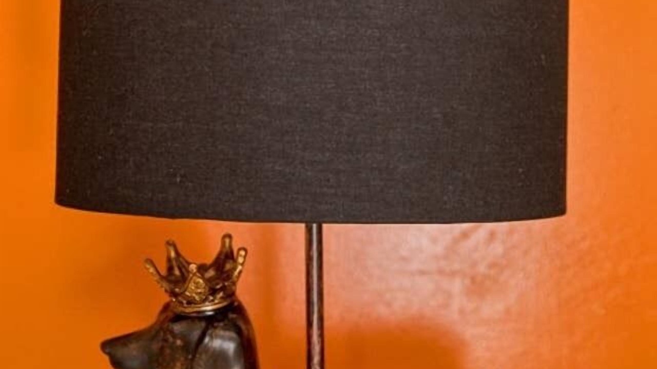 Photo of Others in Sheffield