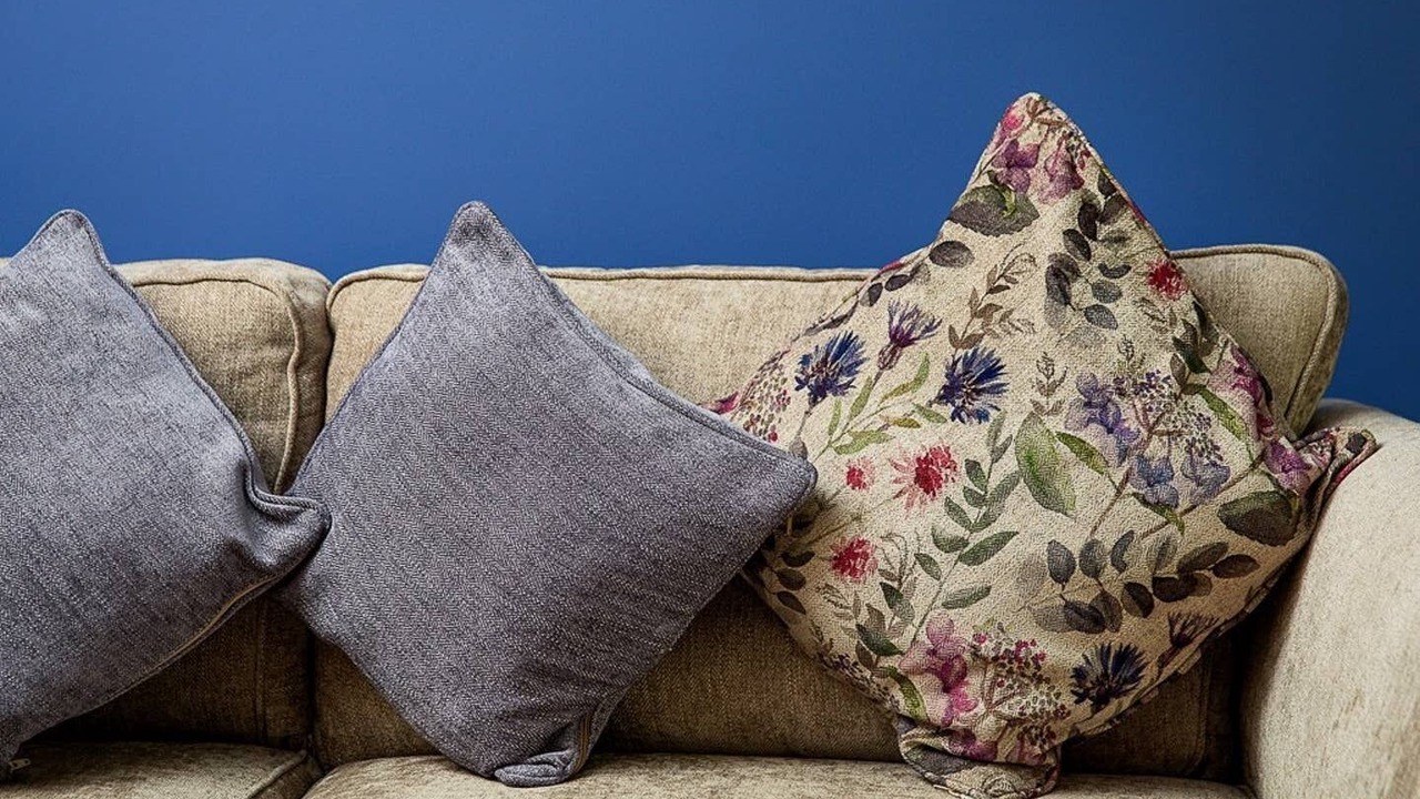 Photo of Others in Sheffield