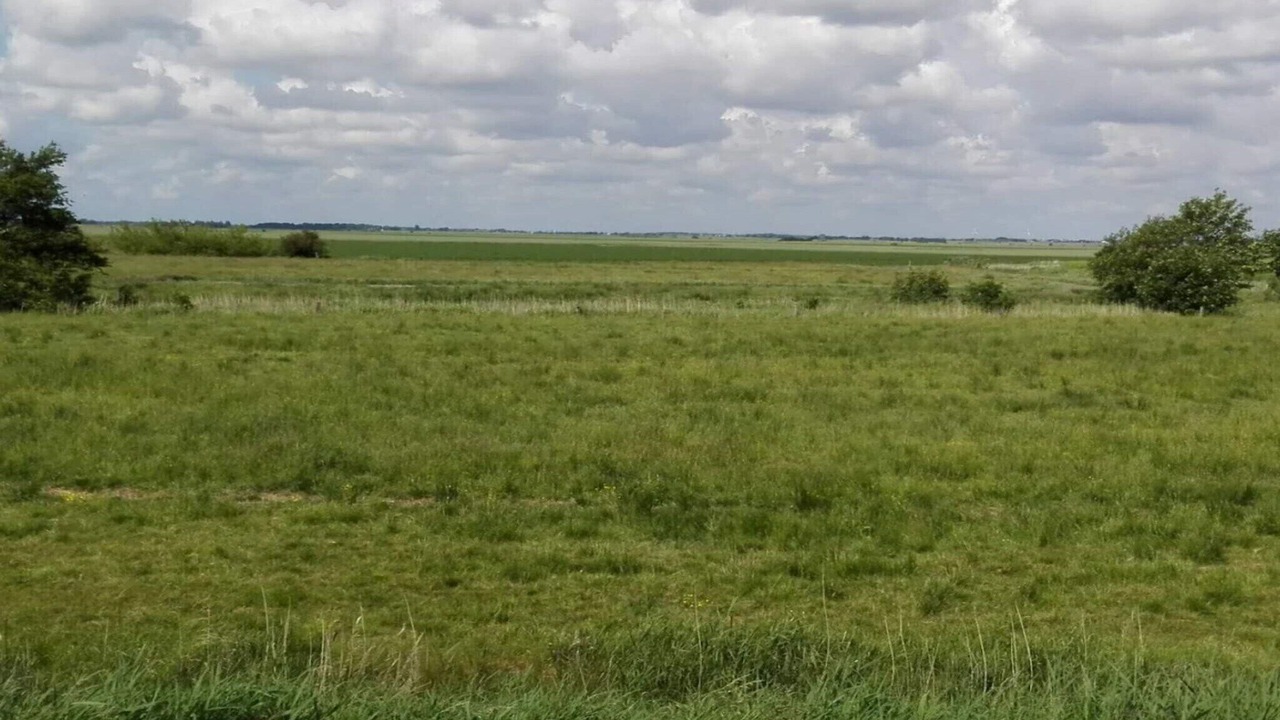 Photo of Others in Hojer