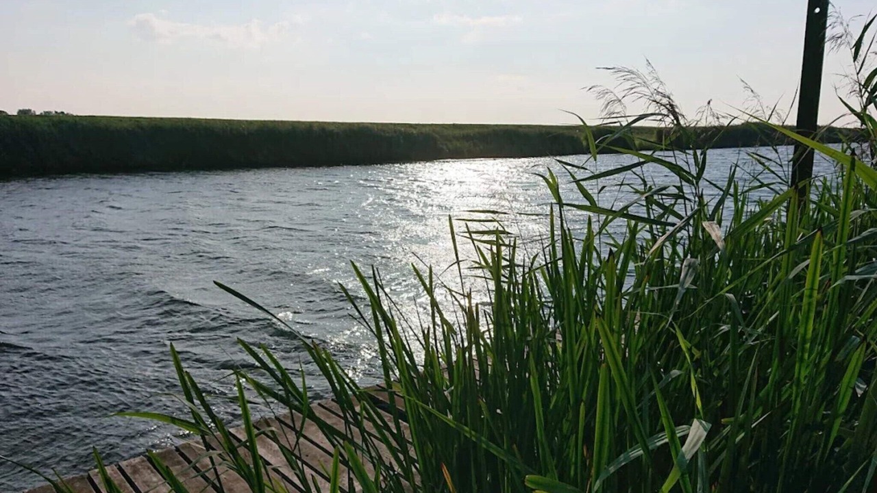 Photo of Others in Hojer