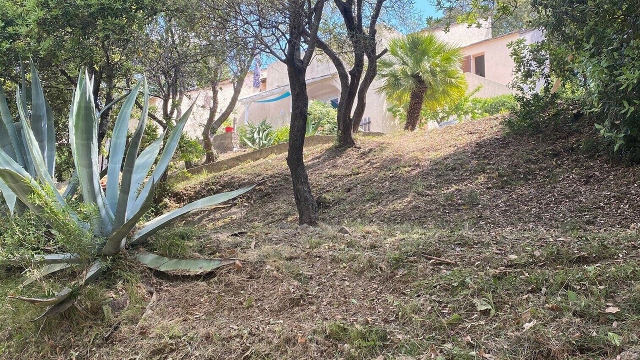 Photo of Outdoor in Patrimonio