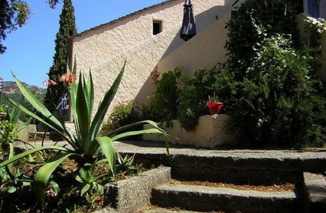 Photo of Outdoor in Patrimonio