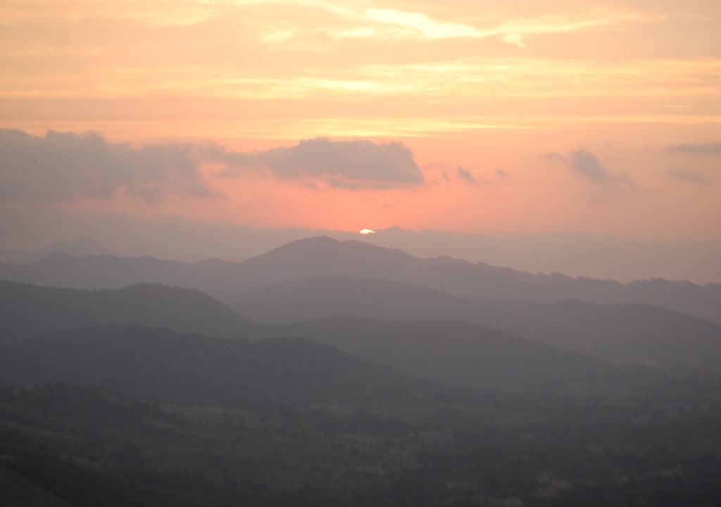 Photo of Others in Patrimonio