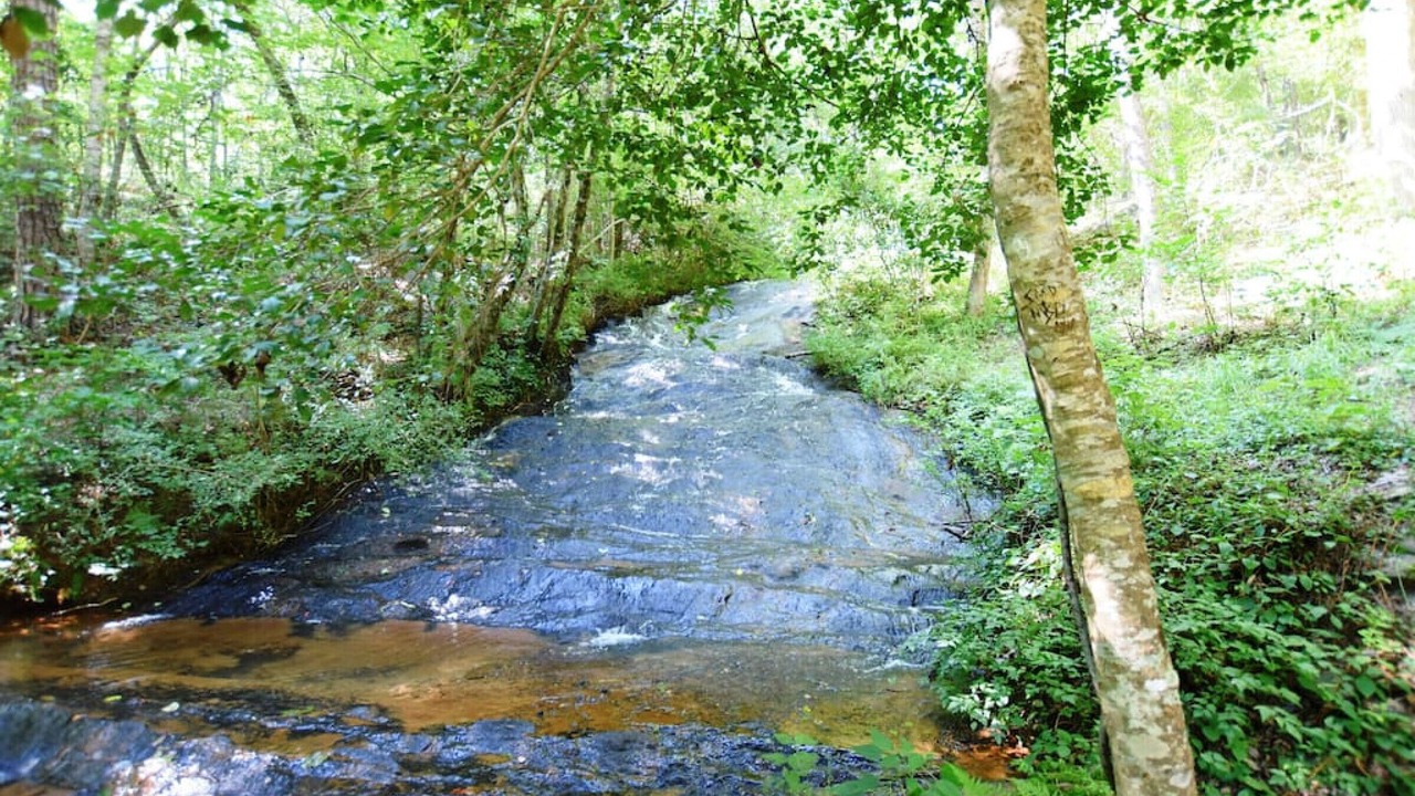 Photo of Outdoor in Demorest