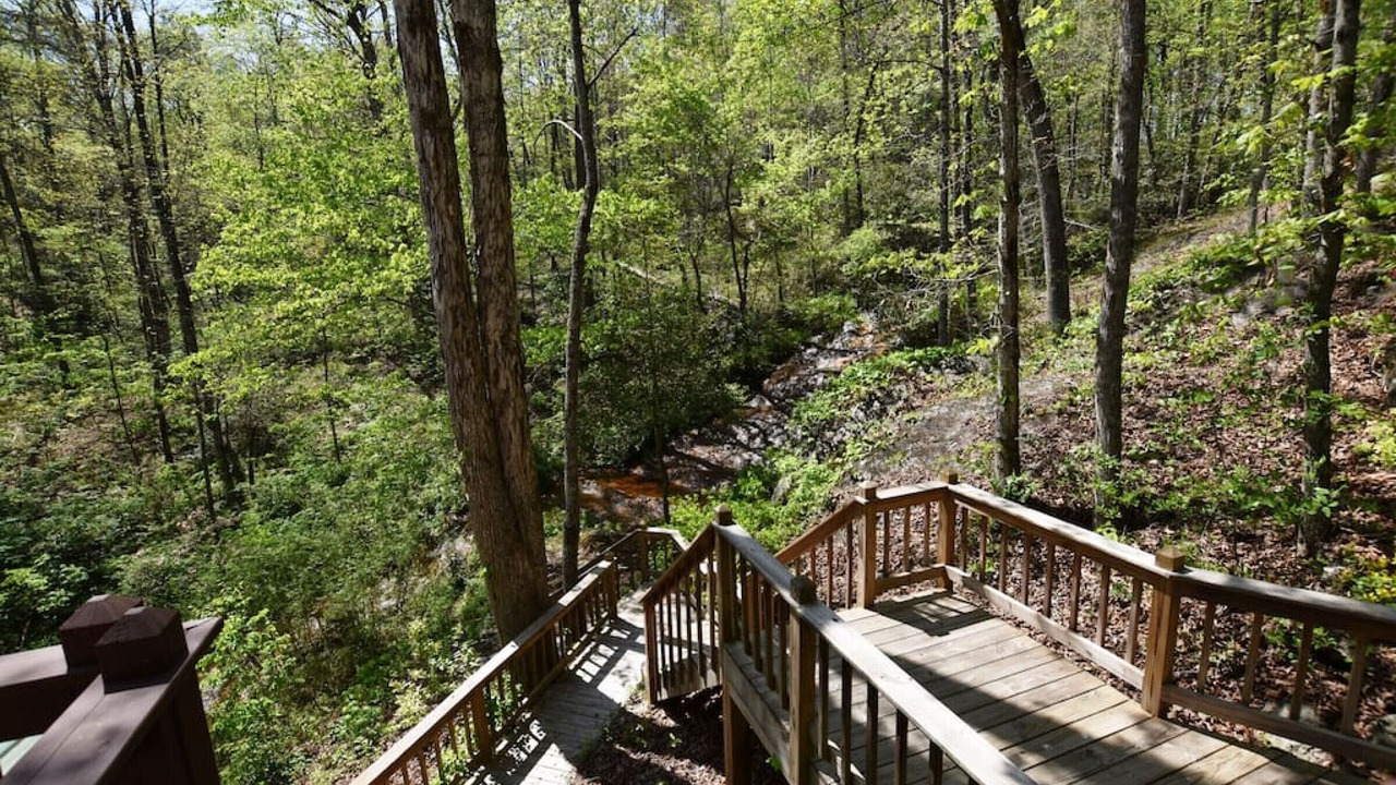 Photo of Outdoor in Demorest