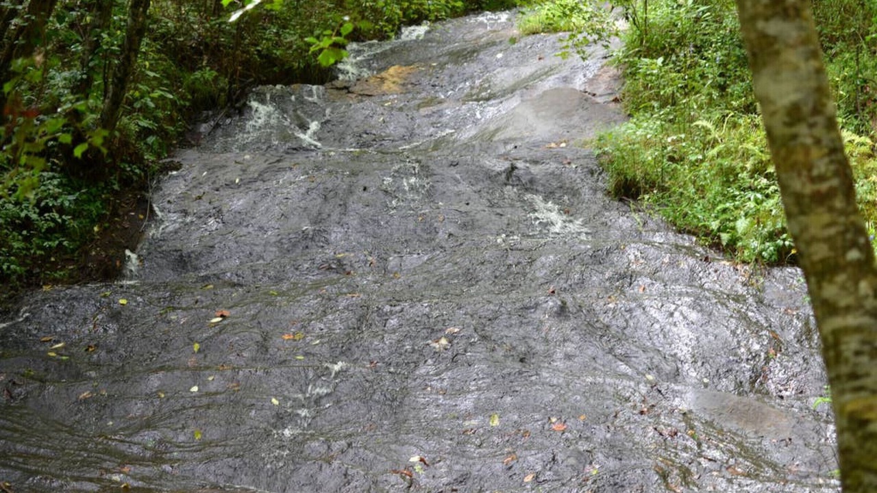 Photo of Outdoor in Demorest