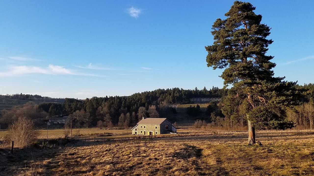 Photo of Outdoor in Les Vastres