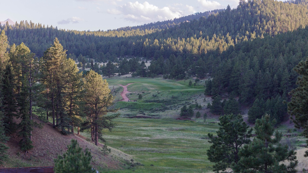 Photo of Outdoor in Woodland Park