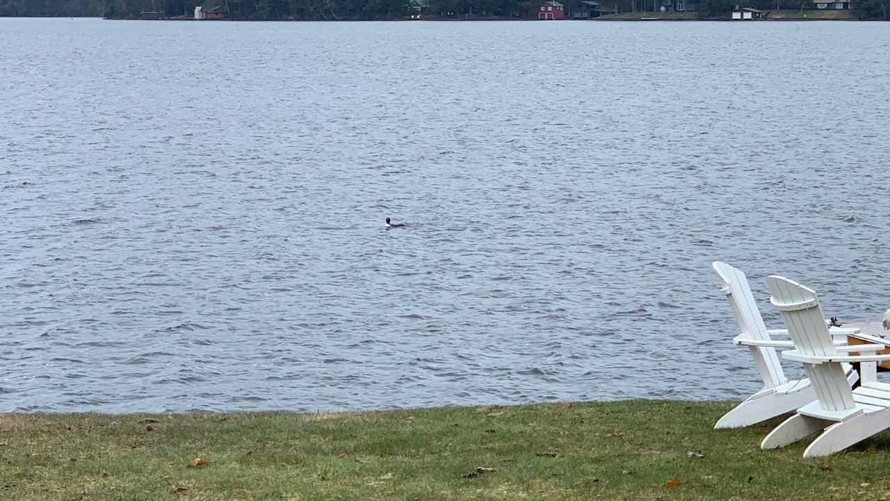 Photo of Others in Town of Webb