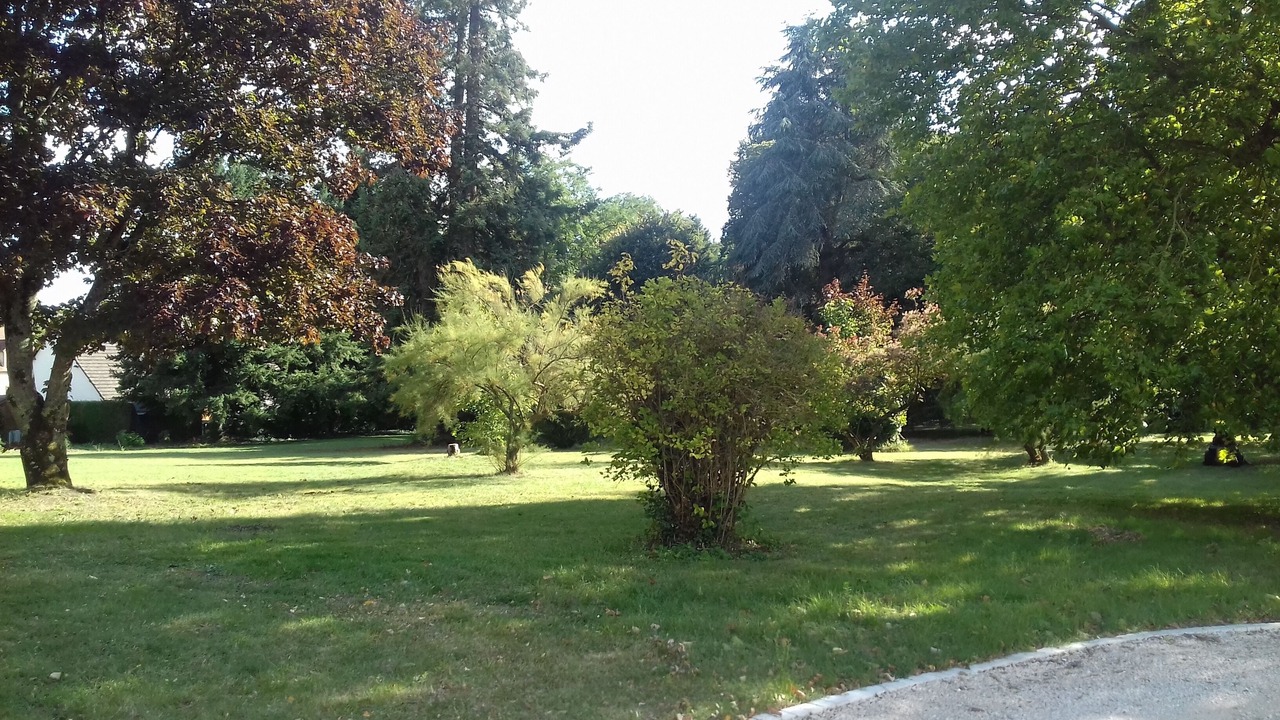 Photo of Outdoor in Soings-en-Sologne