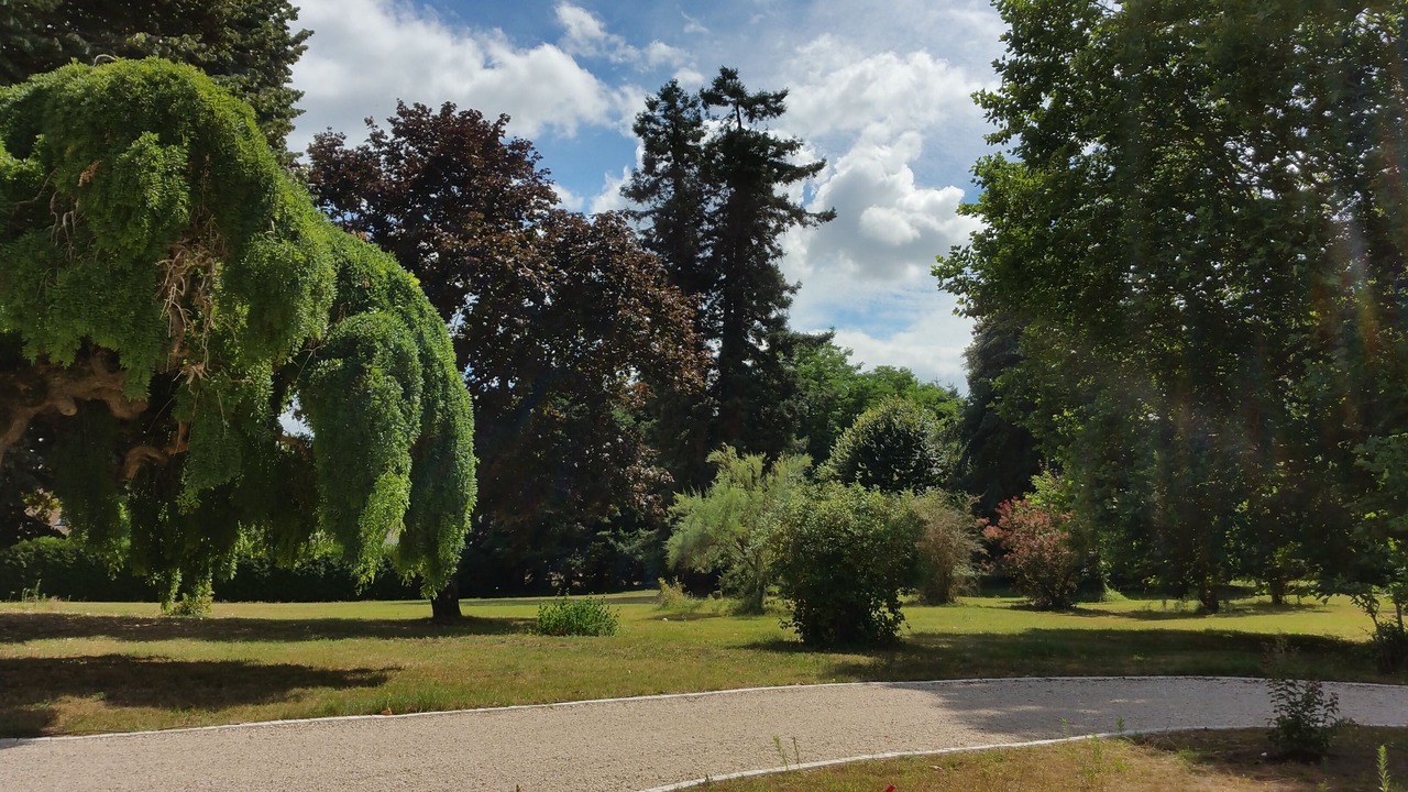 Photo of Outdoor in Soings-en-Sologne